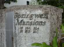 Springwell Mansion #1169362
